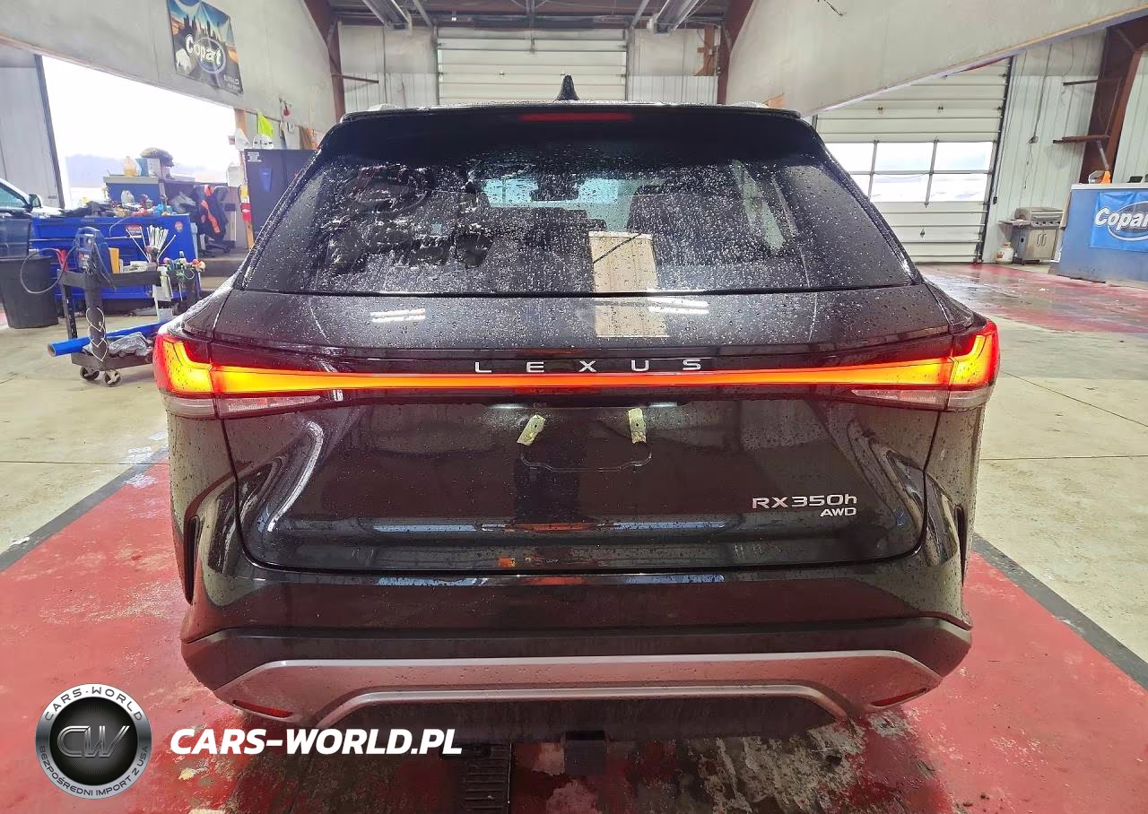 2025 Lexs Rx 350H Ba VIN:2T2BBMCA2SC083336 - 6