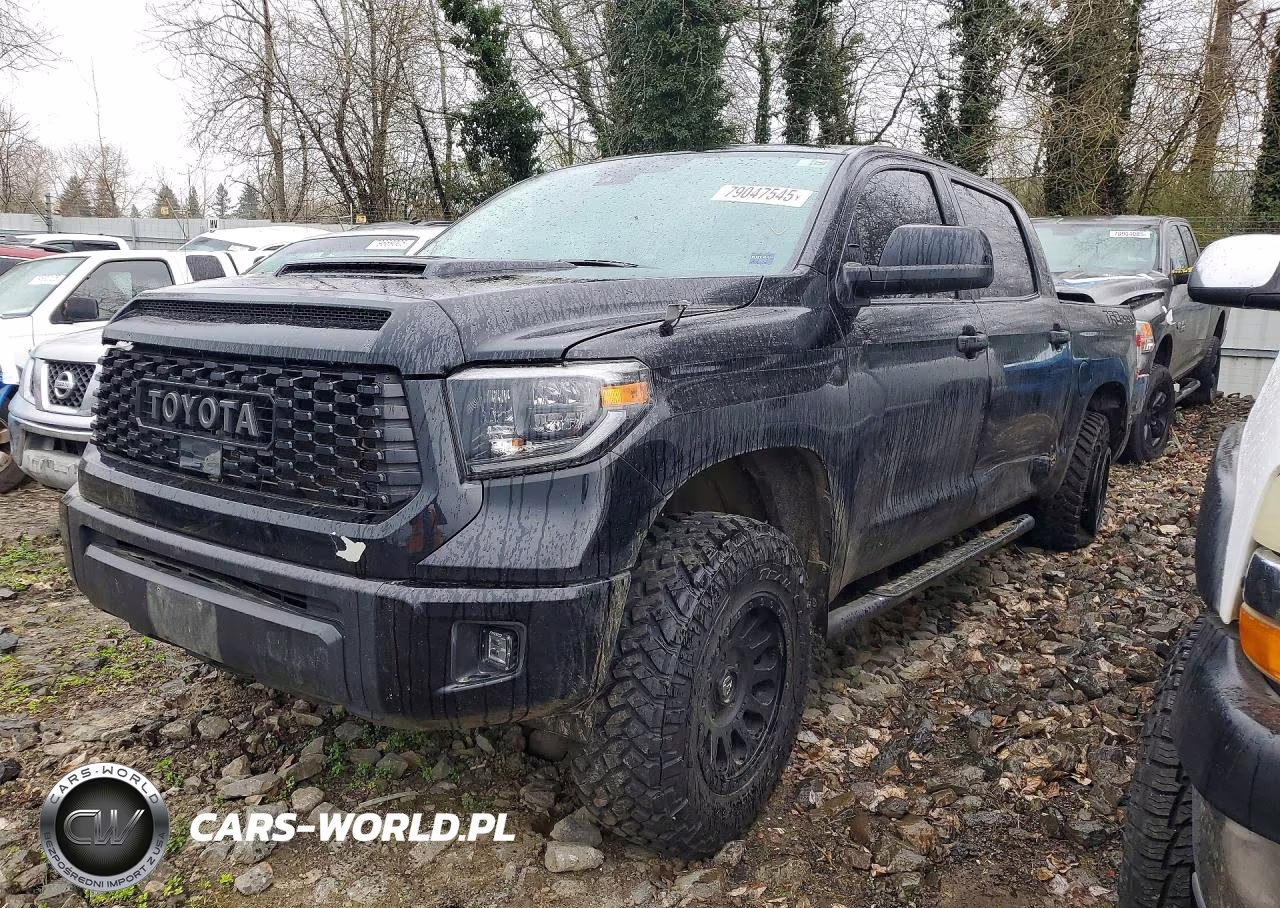 2021 Toyota Tundra Trd Pro