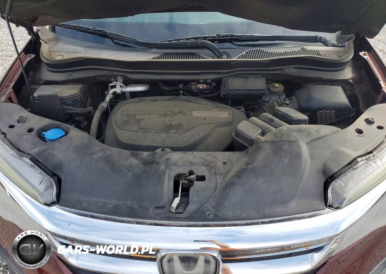 2019 Honda Pilot Ex VIN:5FNYF6H37KB007468 - 12