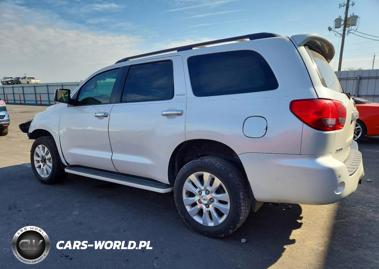 2010 Toyota Sequoia Platinum VIN:5TDYY5G19AS028417 - 2