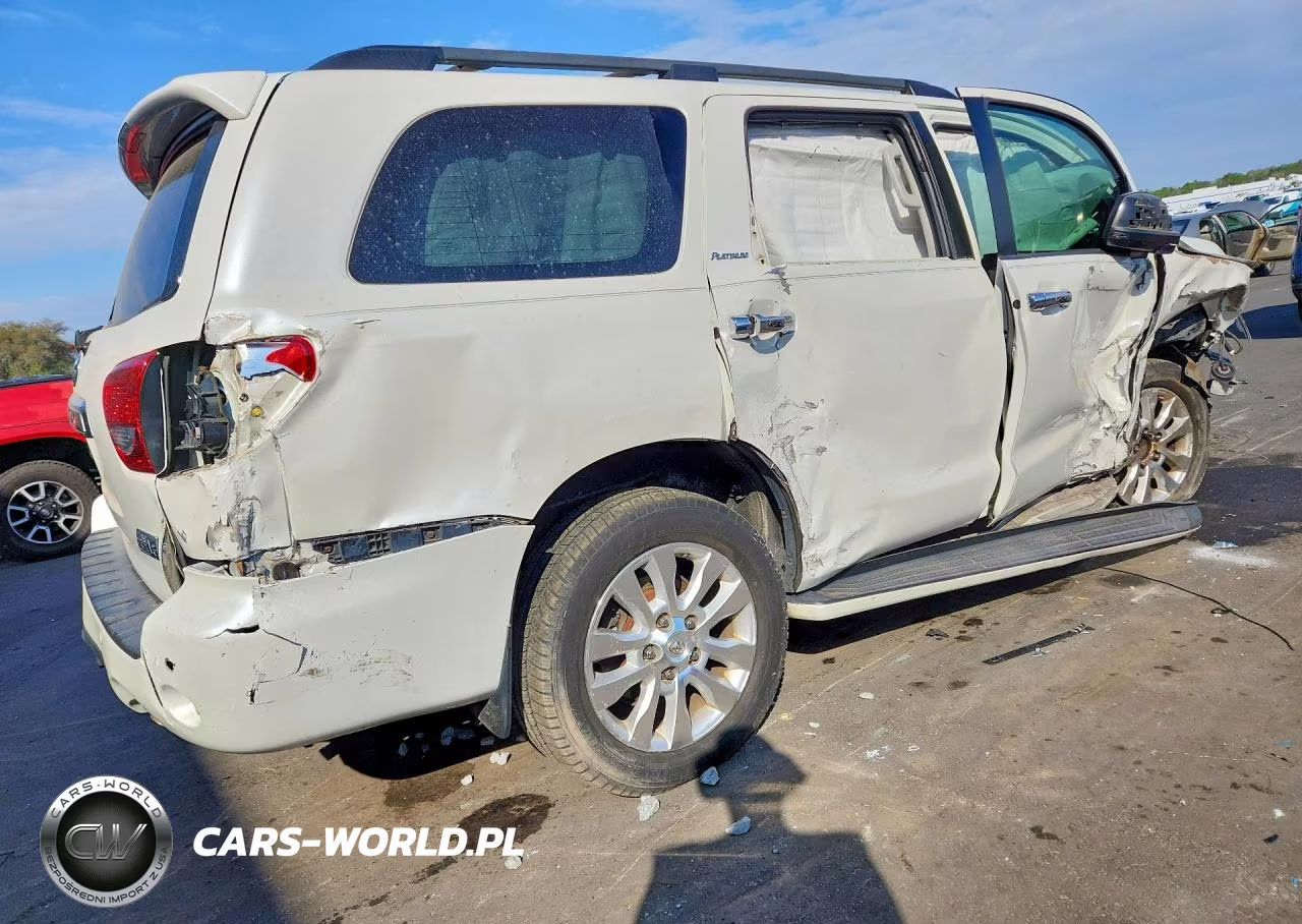2010 Toyota Sequoia Platinum VIN:5TDYY5G19AS028417 - 3