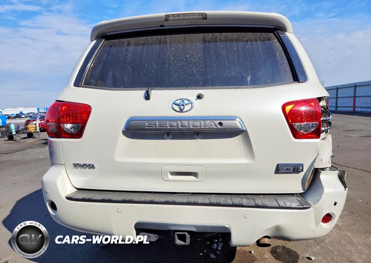 2010 Toyota Sequoia Platinum VIN:5TDYY5G19AS028417 - 6