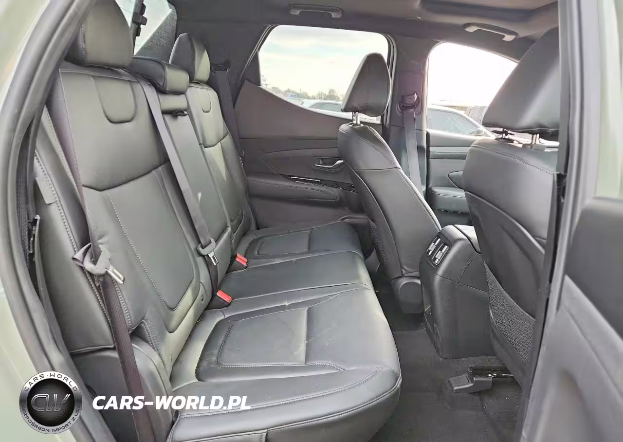 2025 Hyundai Santa Cruz Limited VIN:5NTJEDDF0SH154971 - 11