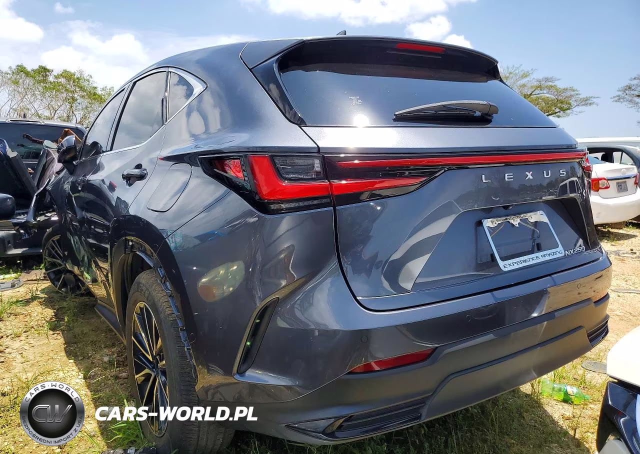 2024 Lexus Nx 250 Premium VIN:JTJGDCAZ8R2010534 - 2
