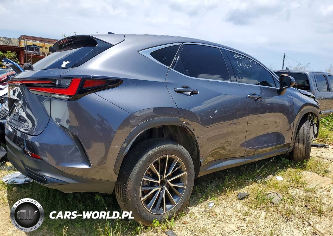 2024 Lexus Nx 250 Premium VIN:JTJGDCAZ8R2010534 - 3