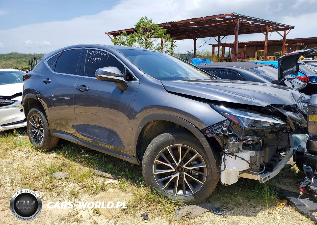2024 Lexus Nx 250 Premium VIN:JTJGDCAZ8R2010534 - 4