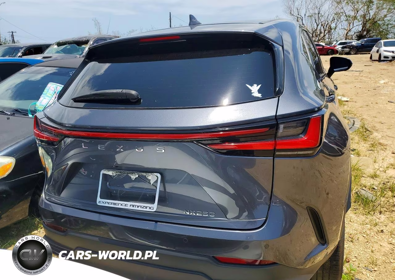 2024 Lexus Nx 250 Premium VIN:JTJGDCAZ8R2010534 - 6