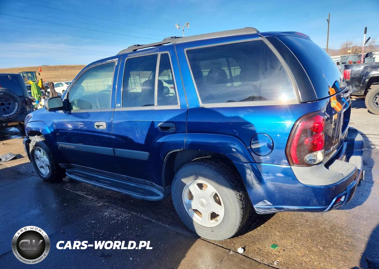 2003 Chevrolet Trailblazer VIN:1GNDT13SX32134316 - 2