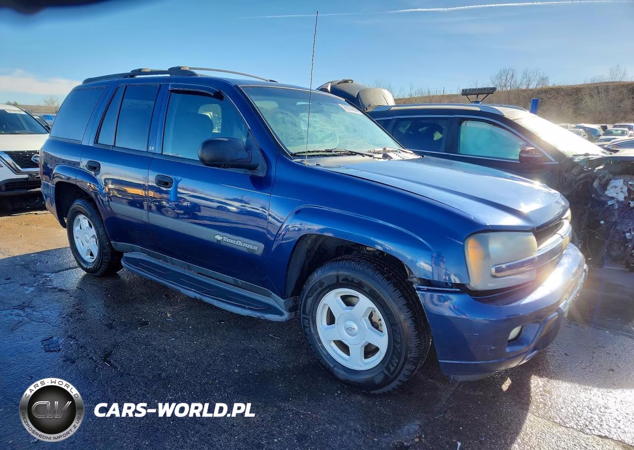 2003 Chevrolet Trailblazer VIN:1GNDT13SX32134316 - 4