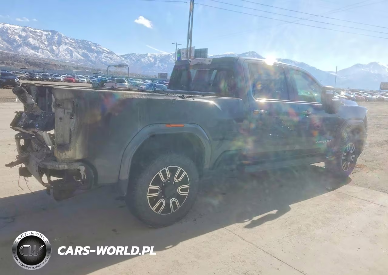 2020 GMC Sierra K2500 At4 VIN:1GT49PEY7LF292777 - 3
