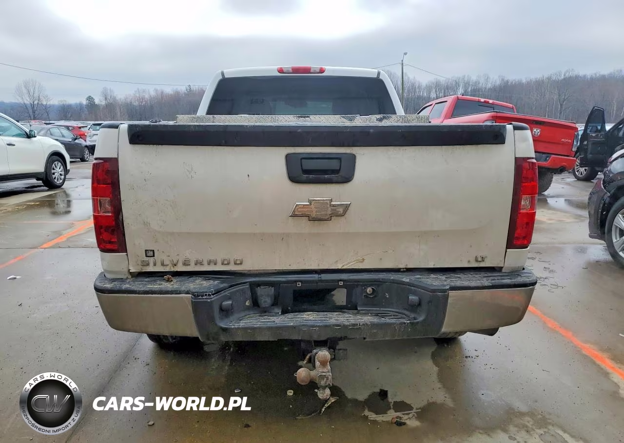 2009 Chevrolet Silverado K1500 Lt VIN:1GCEK29J39Z283848 - 6
