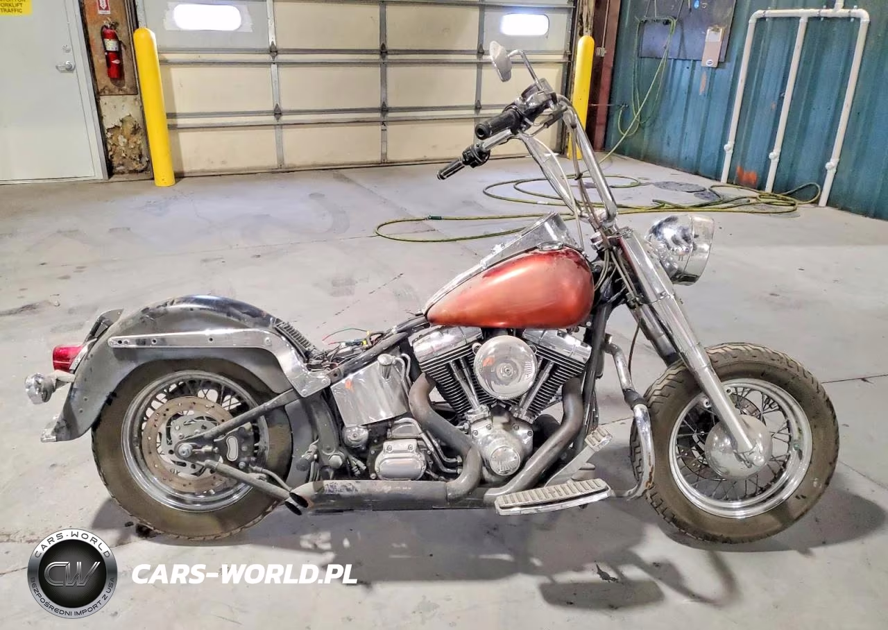 2002 Harley Davidson Flstci