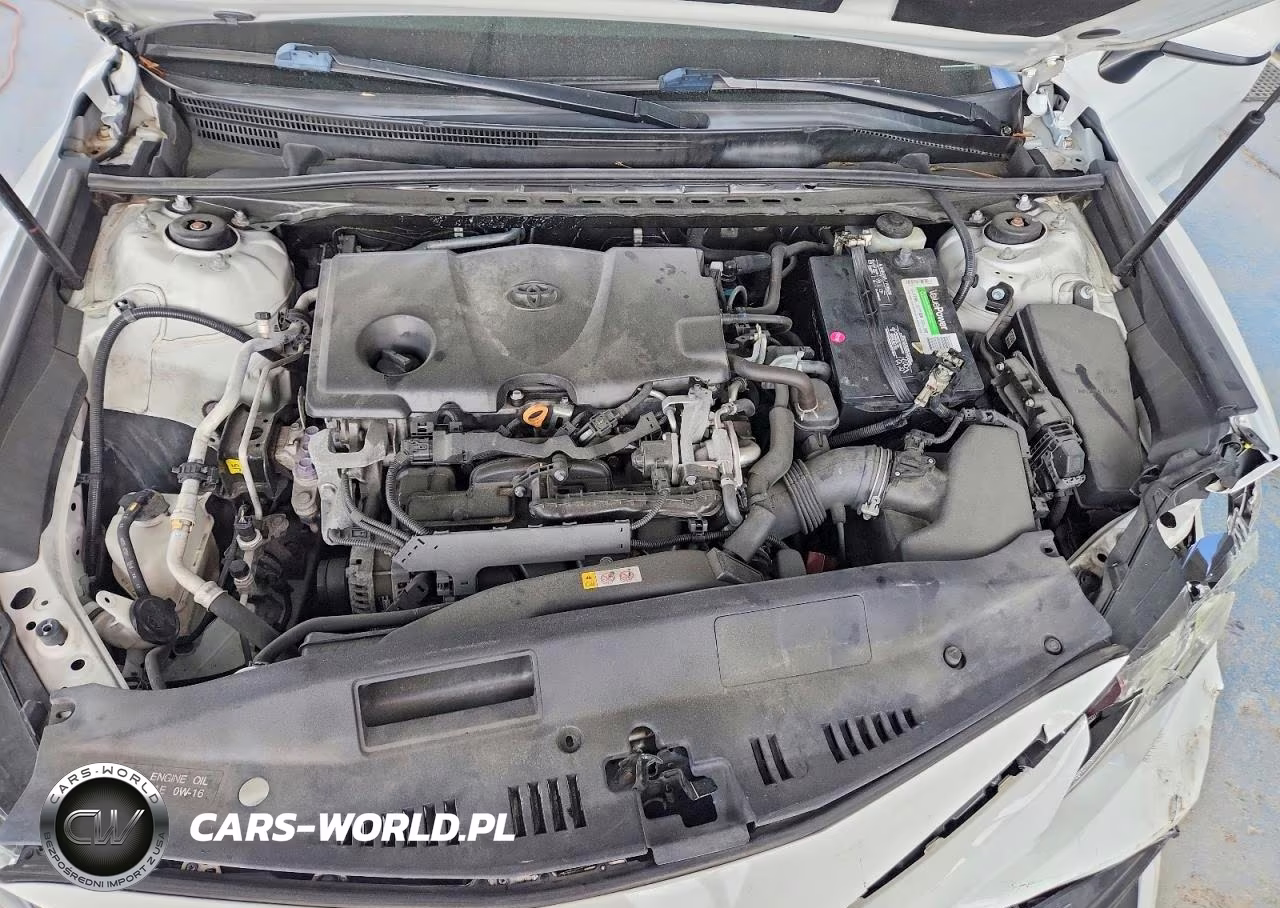 2019 Toyota Camry Le VIN:4T1B11HKXKU791520 - 11