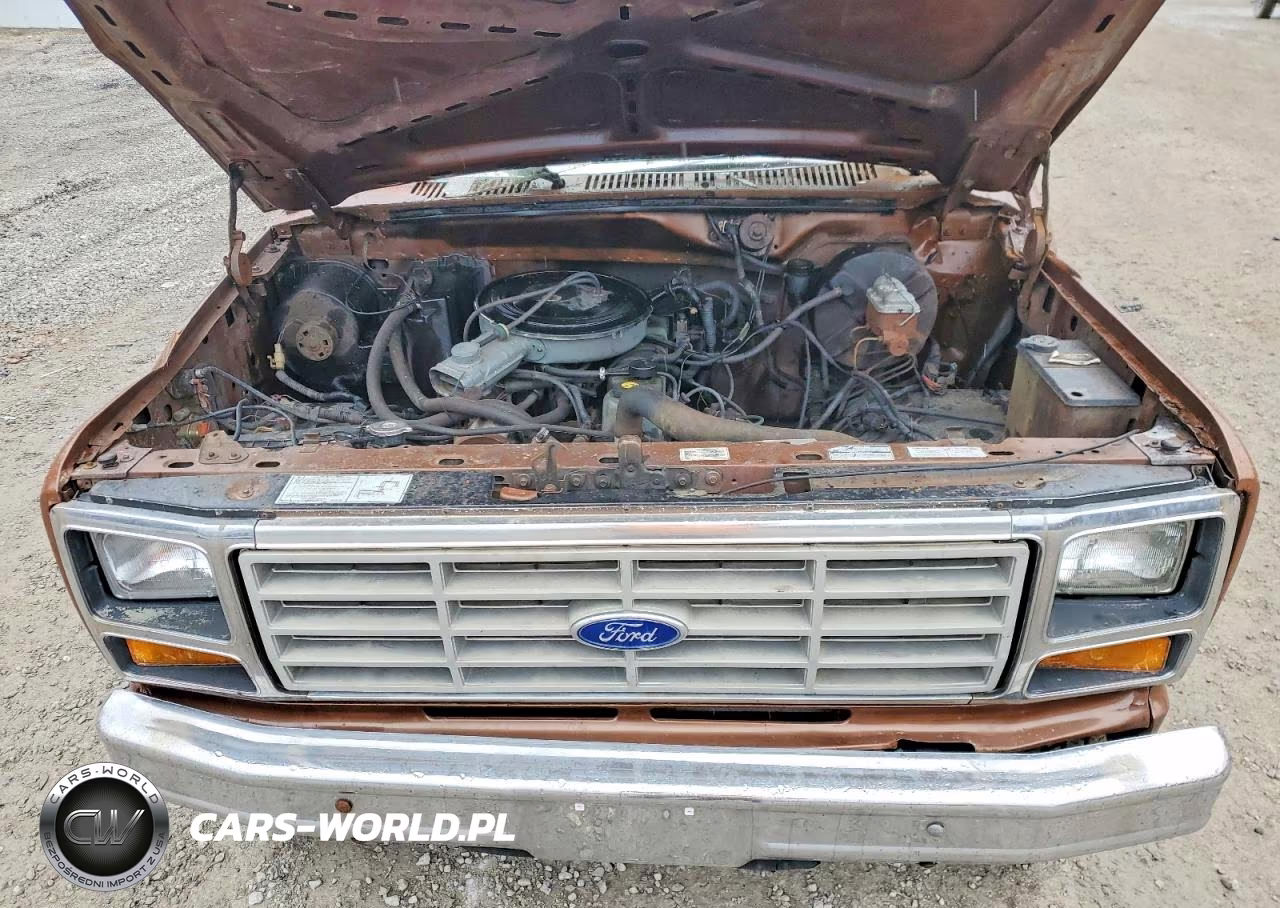 1985 Ford F150 Regular Cab VIN:1FTEF14Y8FNA87362 - 11