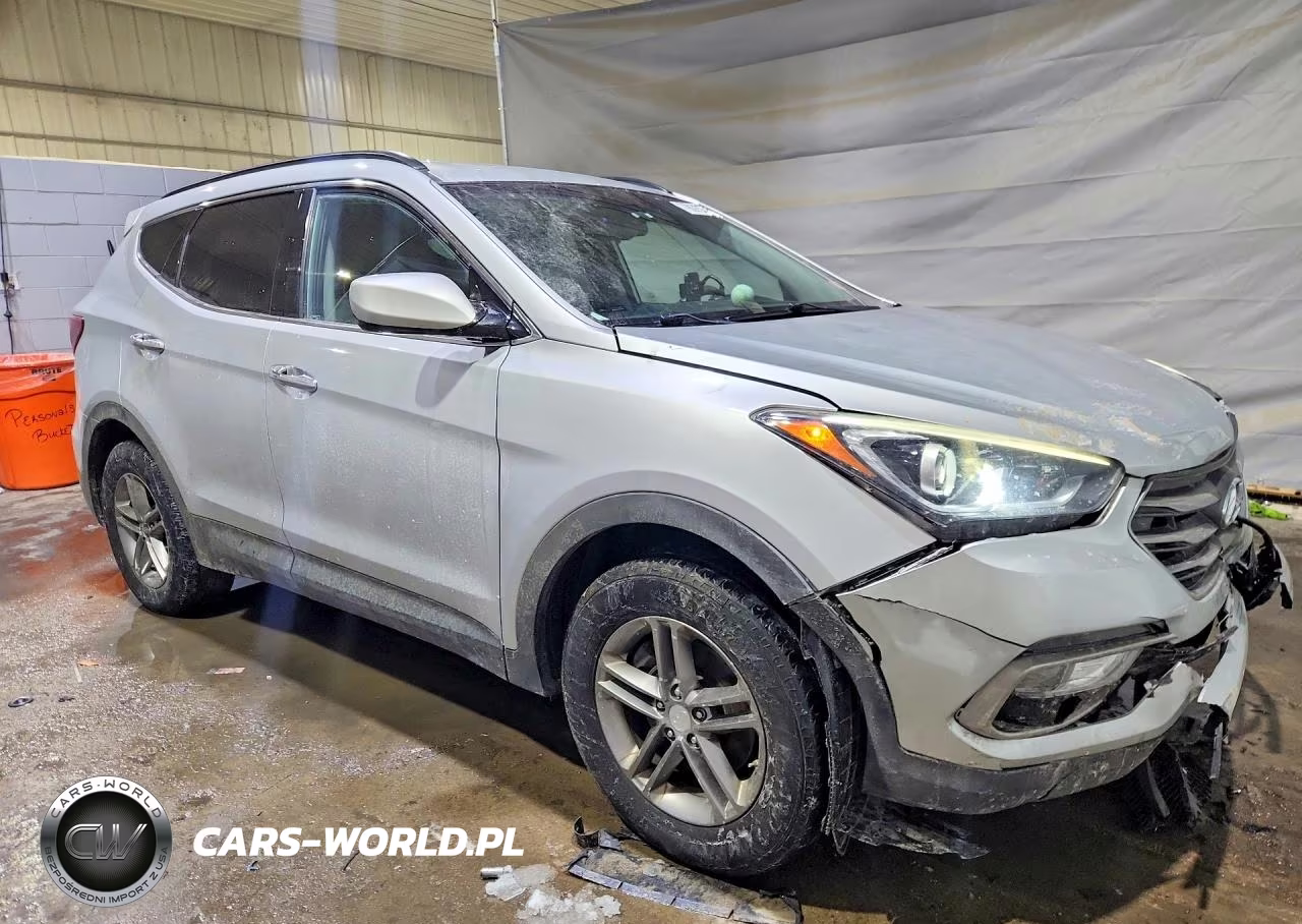 2017 Hyundai Santa Fe VIN:5XYZUDLB5HG490571 - 4
