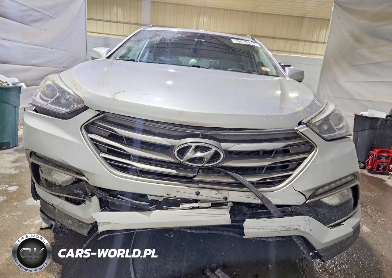 2017 Hyundai Santa Fe VIN:5XYZUDLB5HG490571 - 5