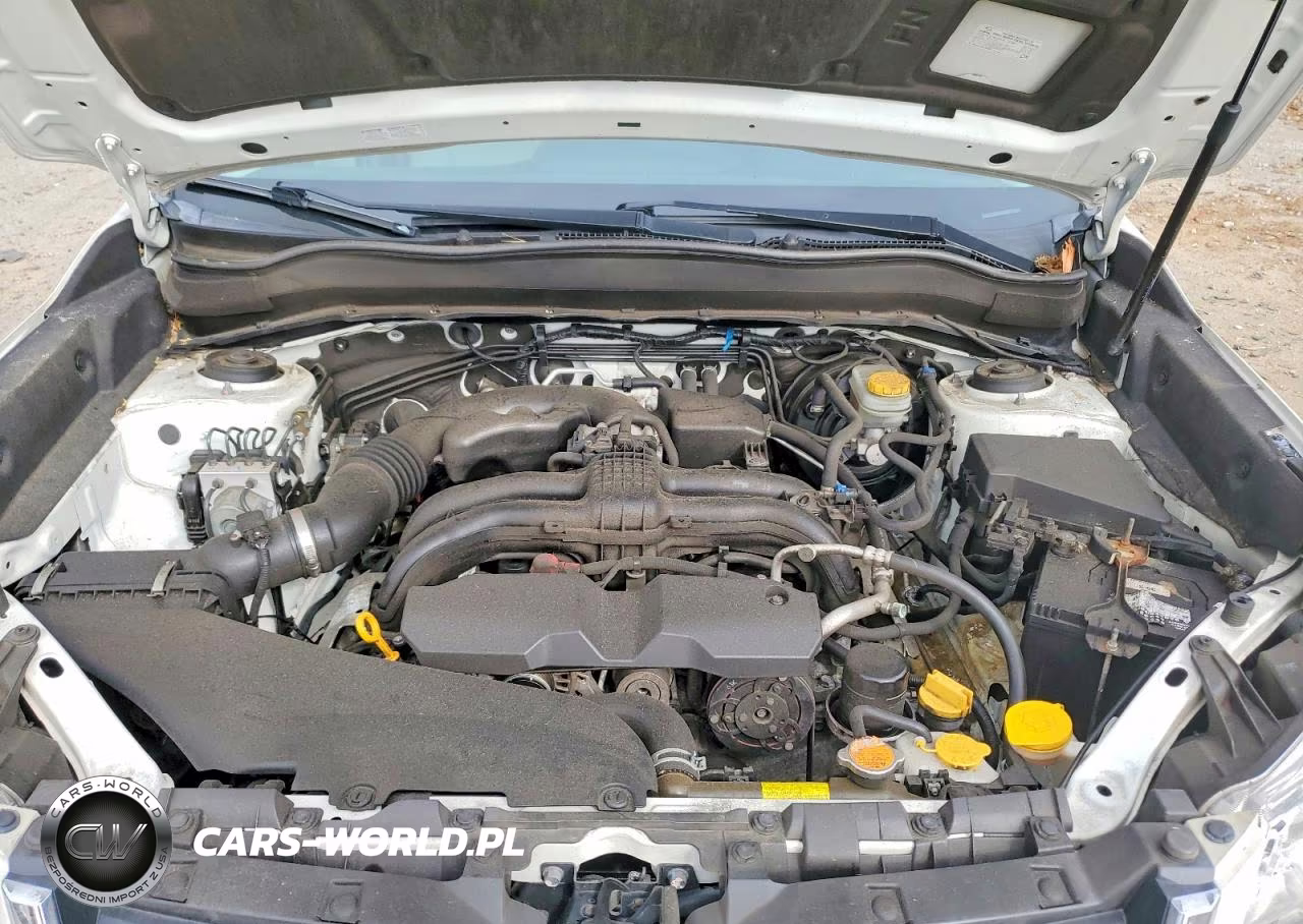 2016 Subaru Forester 2.5I Premium VIN:JF2SJADCXGH566101 - 11