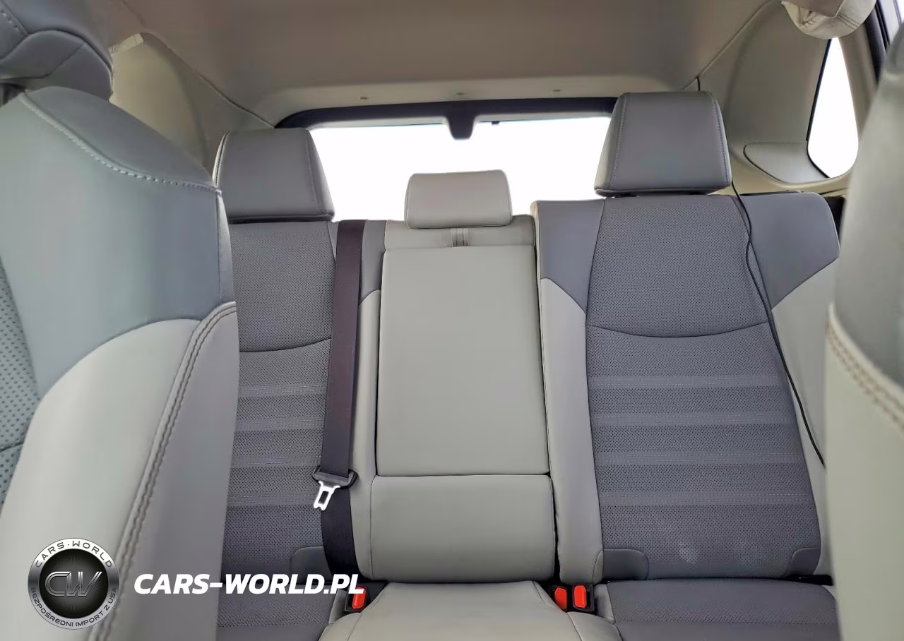 2019 Toyota Rav4 Limited VIN:JTMY1RFV0KD030893 - 10