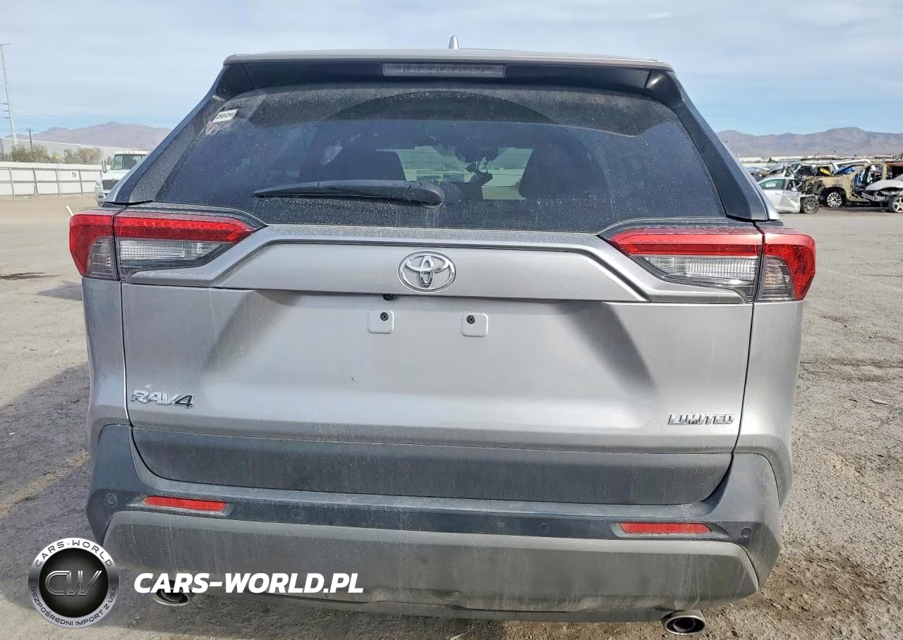 2019 Toyota Rav4 Limited VIN:JTMY1RFV0KD030893 - 6