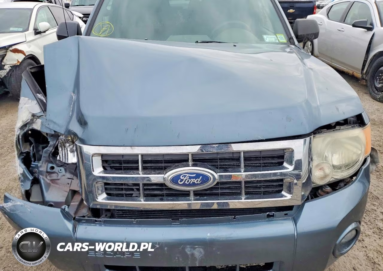 2011 Ford Escape Xlt VIN:1FMCU0D71BKA32080 - 12