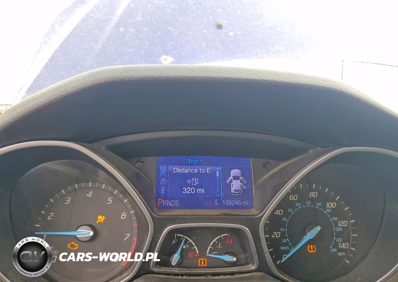 2013 Ford Focus Se VIN:1FADP3F23DL212389 - 9