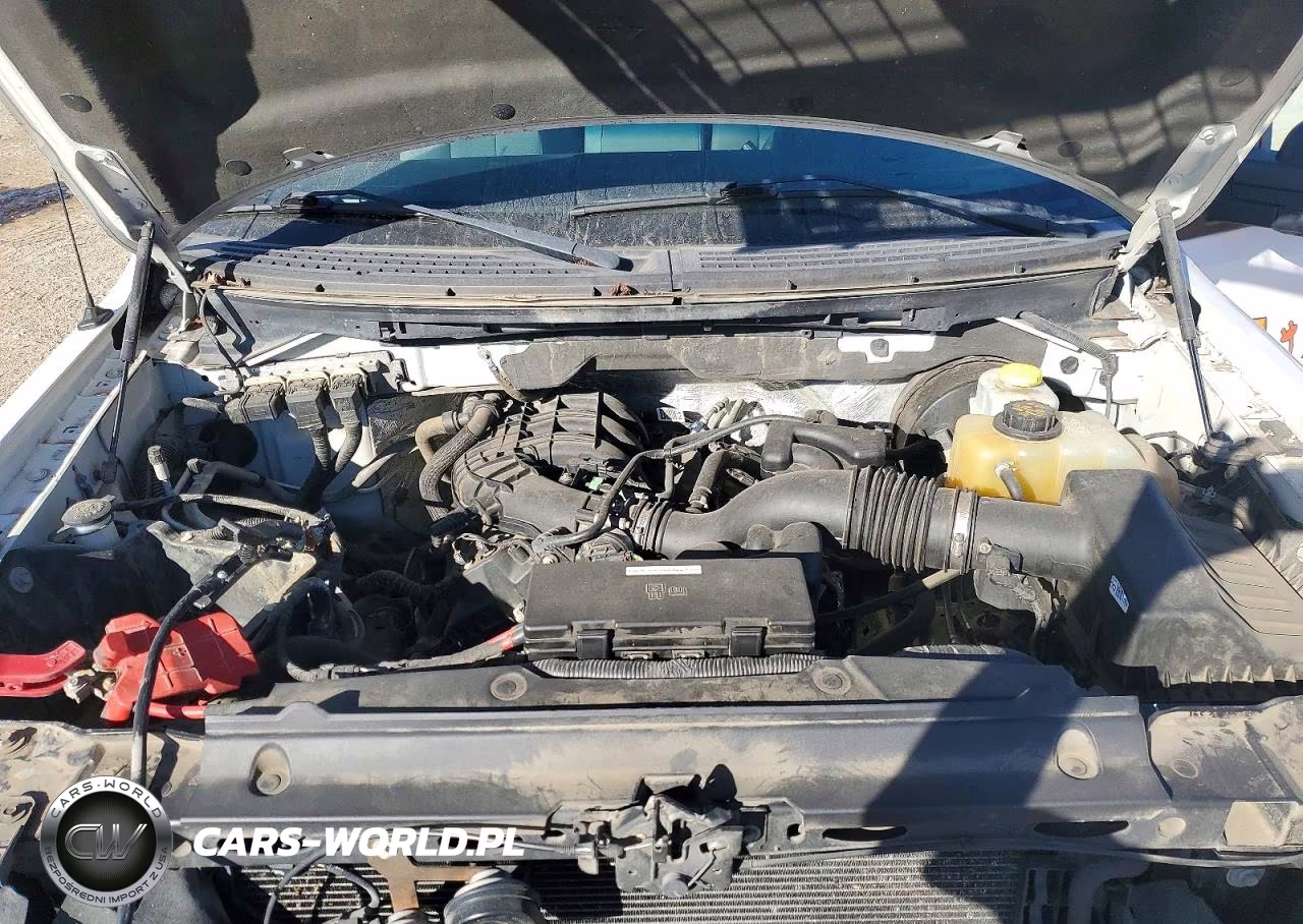 2014 Ford F150 Supercrew VIN:1FTMF1CM9EKF23548 - 11