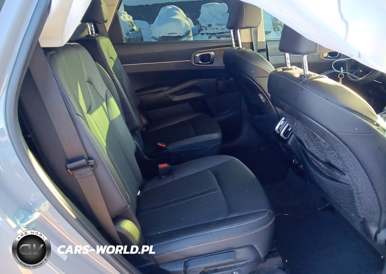2023 Kia Sorento VIN:5XYRHDLF7PG180587 - 10