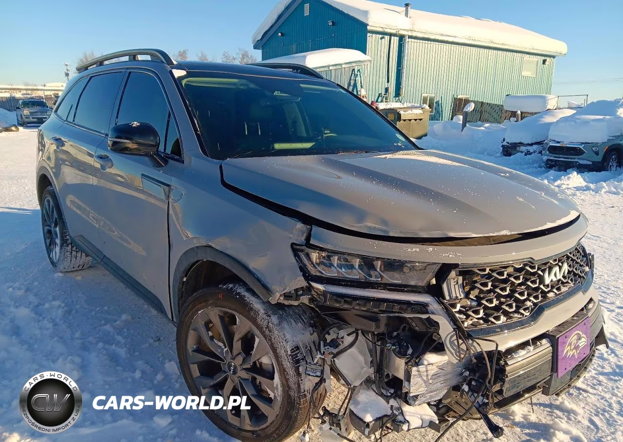 2023 Kia Sorento VIN:5XYRHDLF7PG180587 - 4