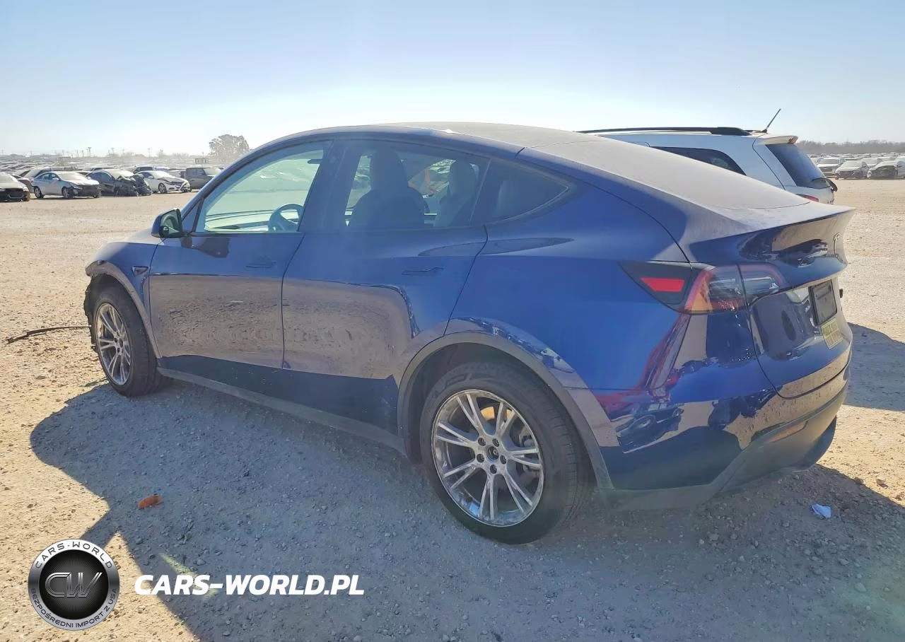 2023 Tesla Model Y VIN:7SAYGDEE3PA095255 - 2