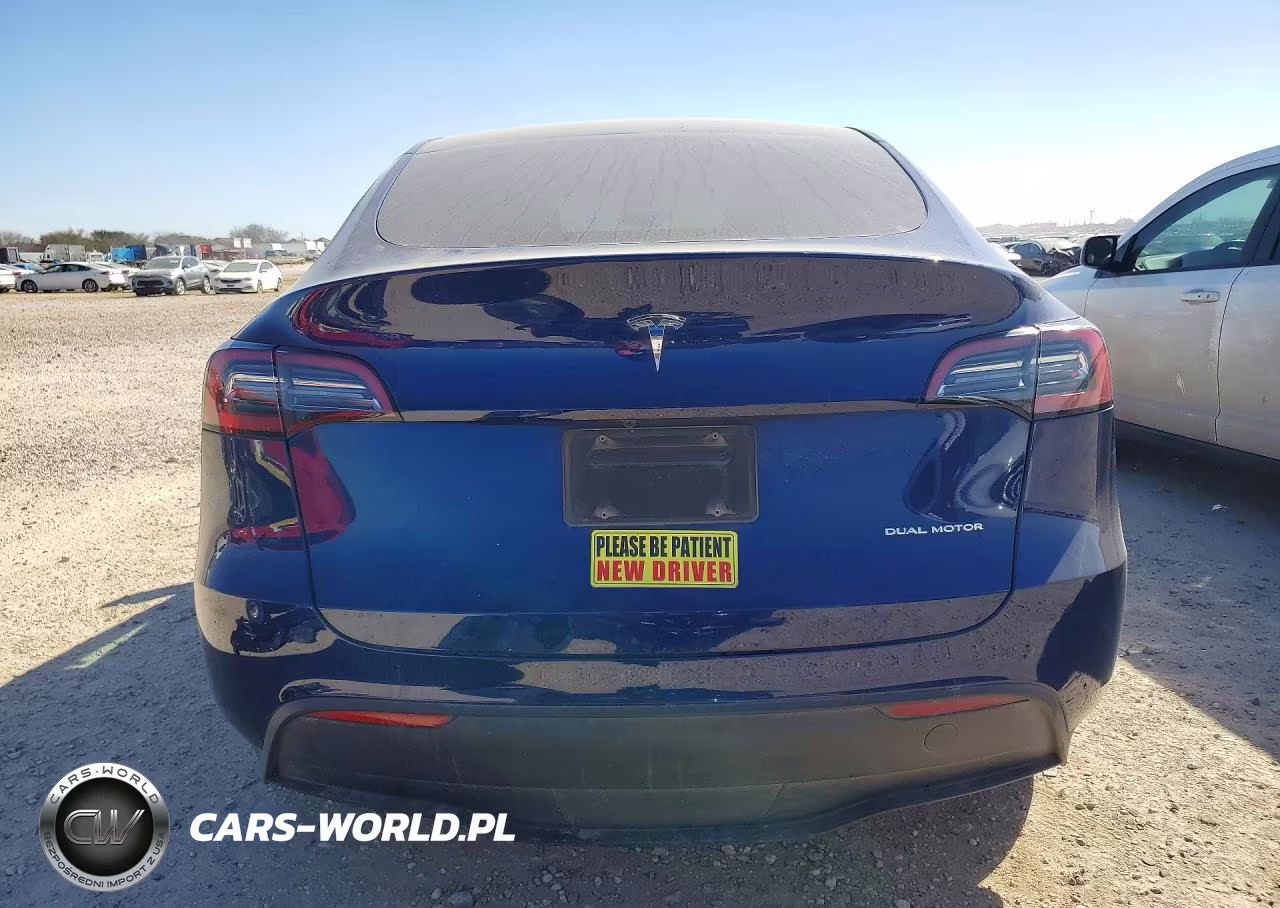 2023 Tesla Model Y VIN:7SAYGDEE3PA095255 - 6