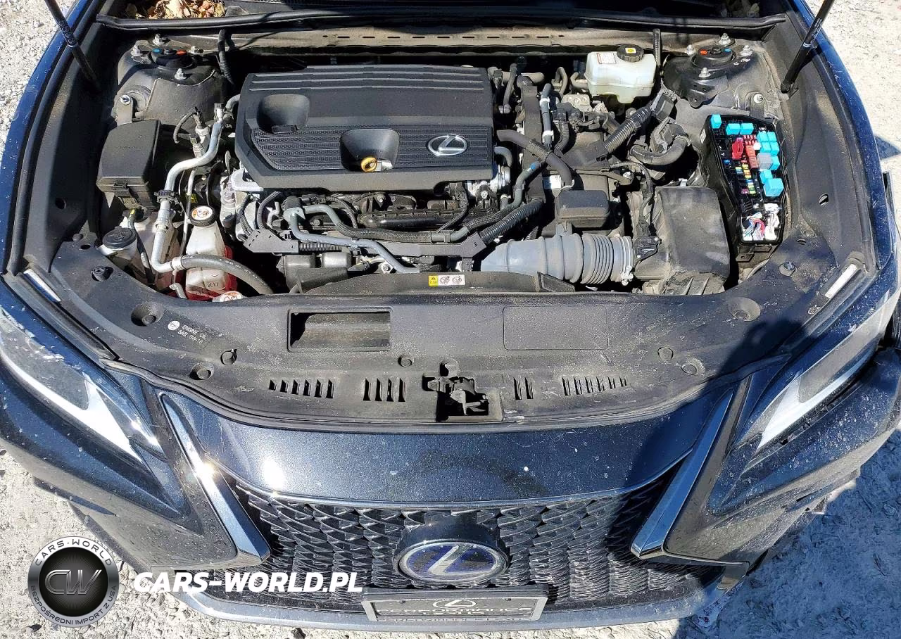 2022 Lexus Es 300H F Sport VIN:58AGA1C19NU024579 - 11
