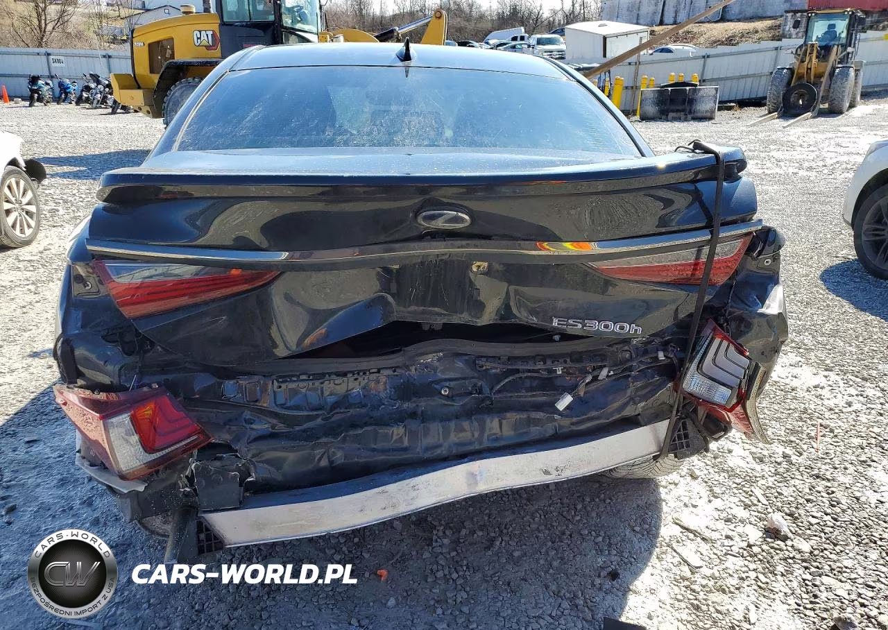 2022 Lexus Es 300H F Sport VIN:58AGA1C19NU024579 - 6