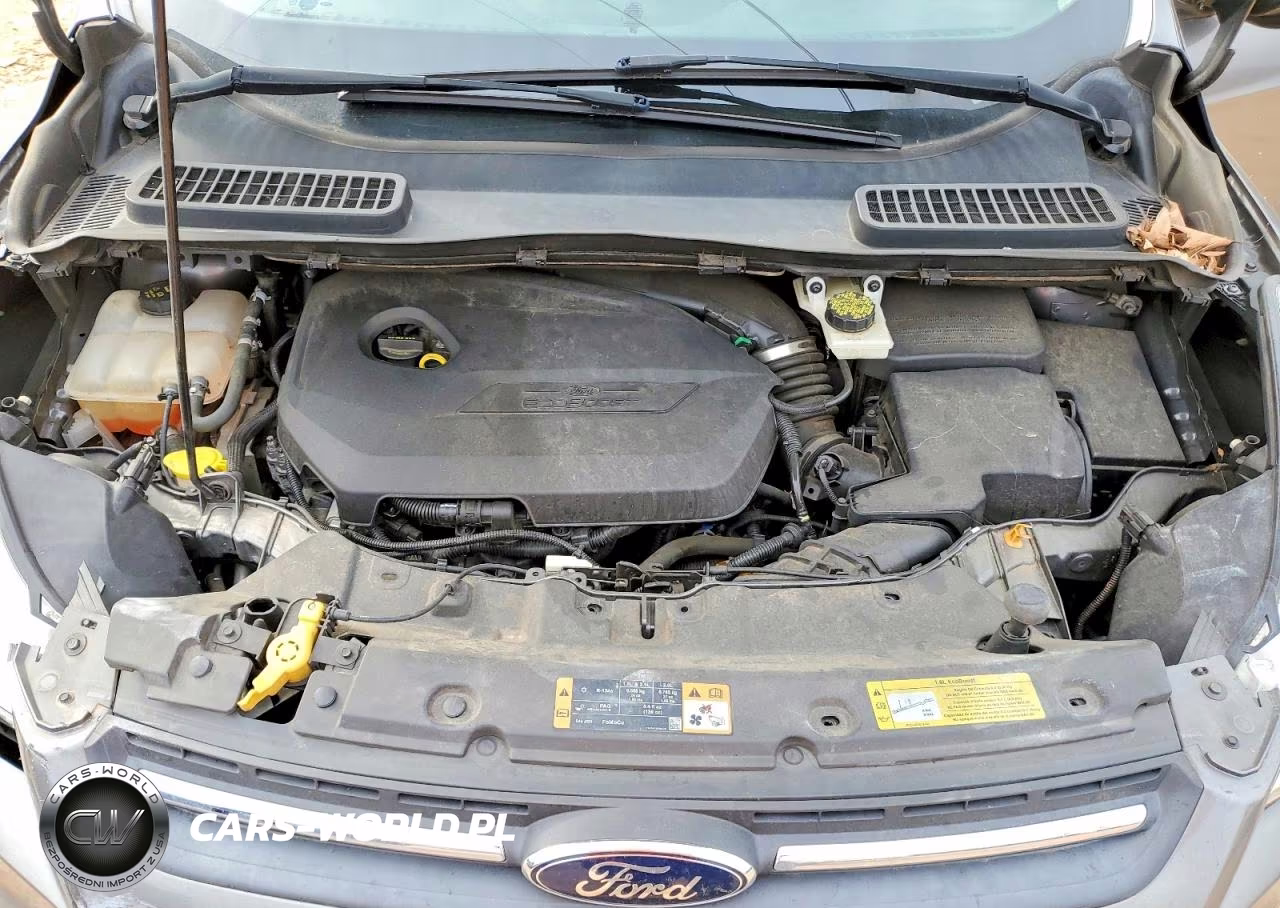 2014 Ford Escape Se VIN:1FMCU0GX7EUB05019 - 12