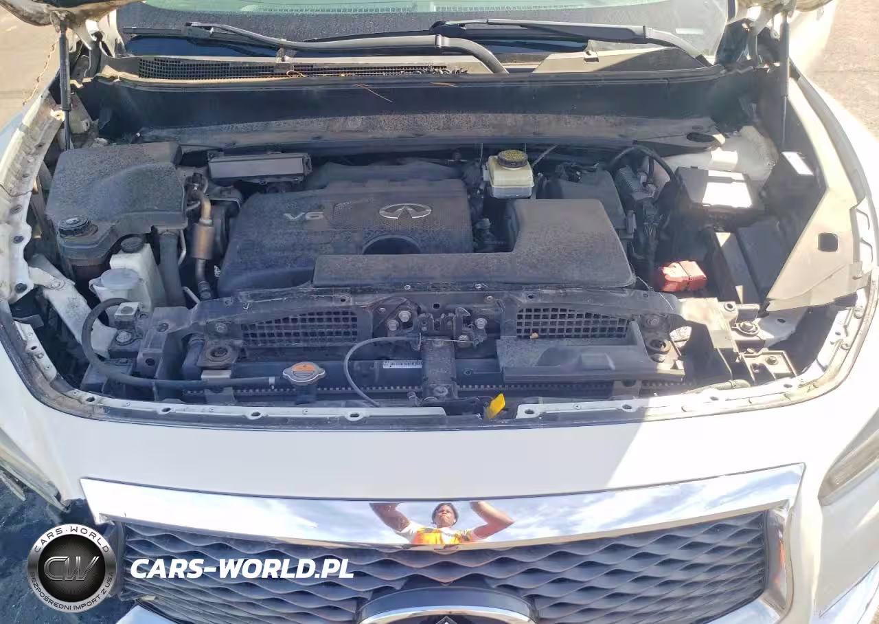 2019 Infiniti Qx60 Pure VIN:5N1DL0MN9KC508866 - 12