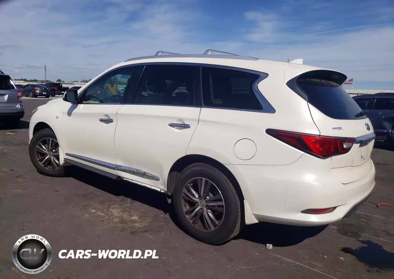 2019 Infiniti Qx60 Pure VIN:5N1DL0MN9KC508866 - 2