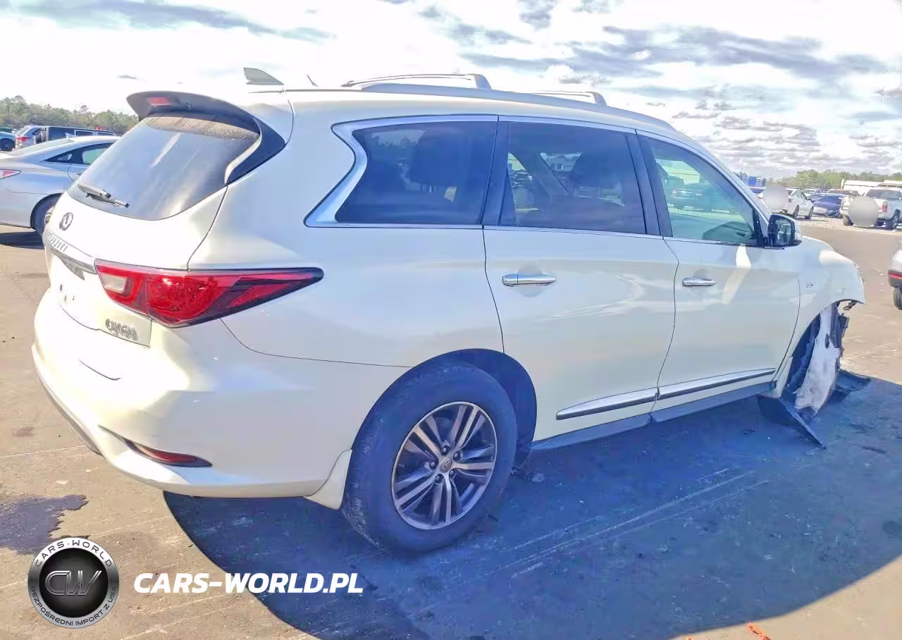 2019 Infiniti Qx60 Pure VIN:5N1DL0MN9KC508866 - 3