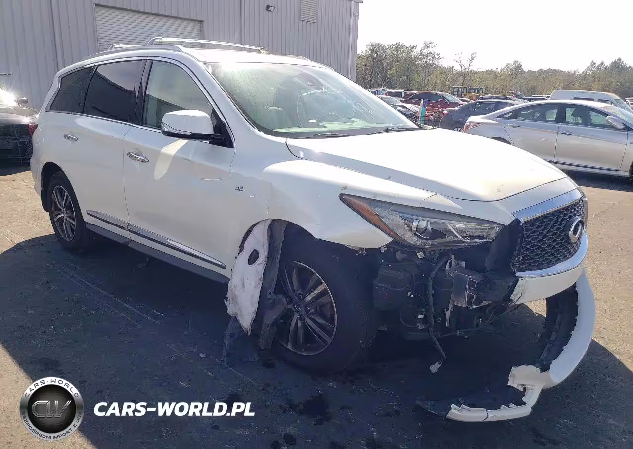 2019 Infiniti Qx60 Pure VIN:5N1DL0MN9KC508866 - 4