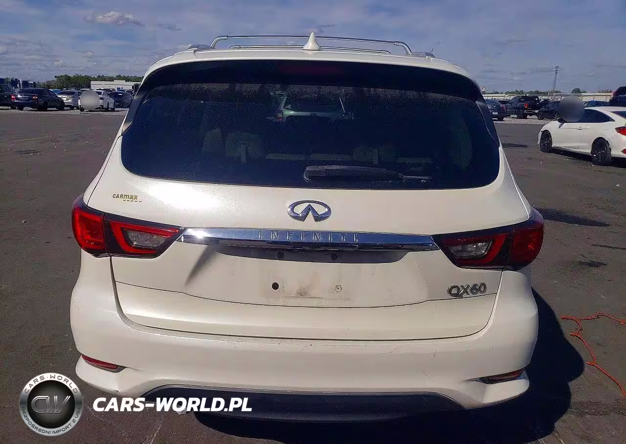2019 Infiniti Qx60 Pure VIN:5N1DL0MN9KC508866 - 6