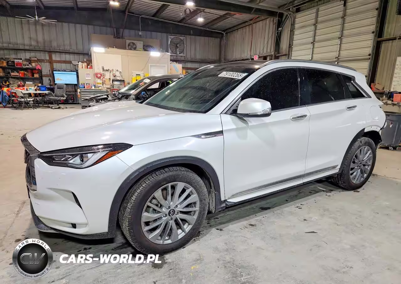 2023 Infinity Qx50 Luxe