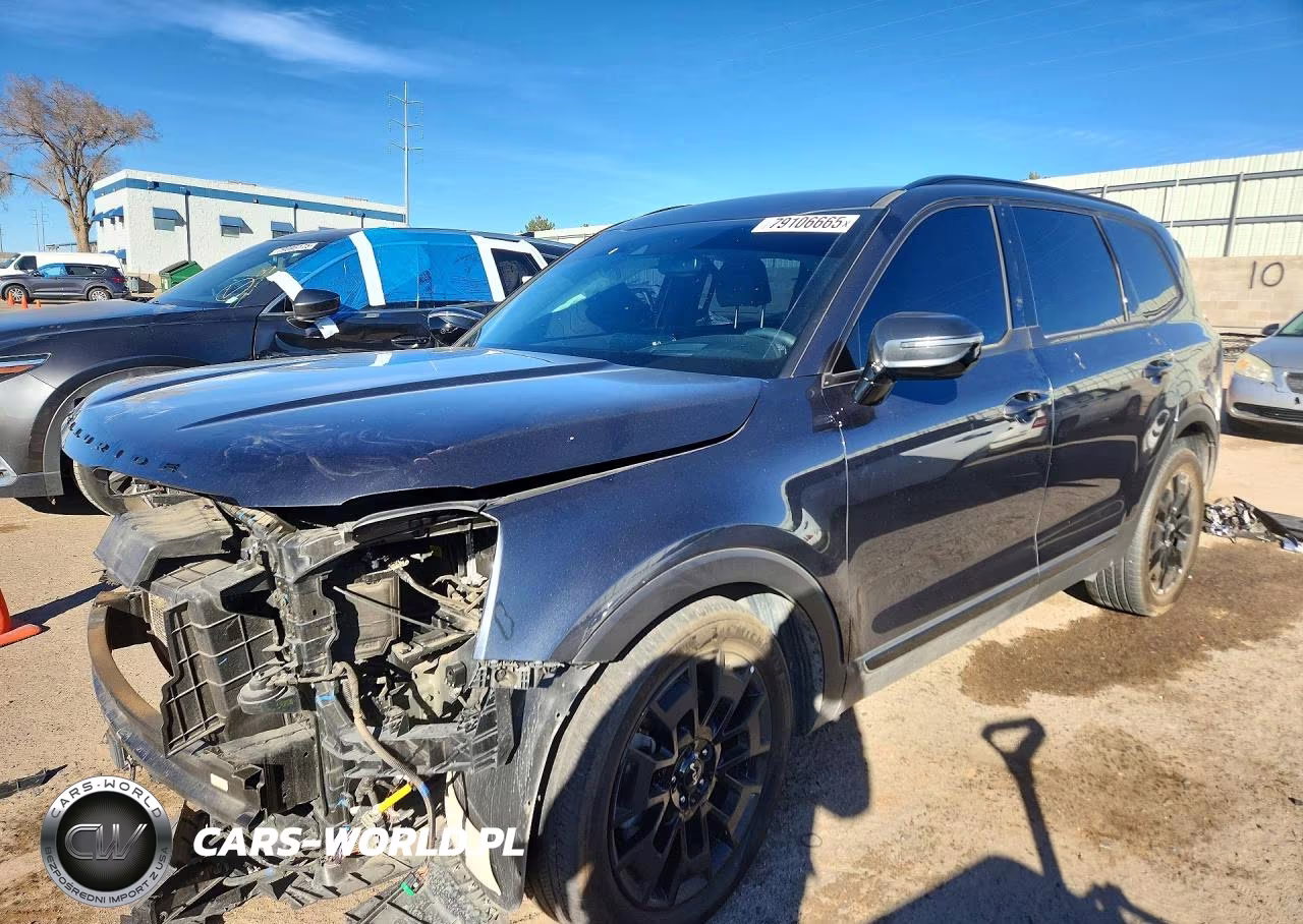 2022 Kia Telluride Sx