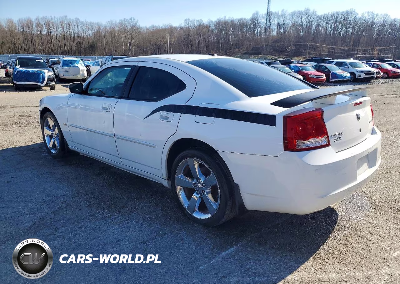 2010 Dodge Charger Rallye VIN:2B3CA9CV6AH288109 - 2