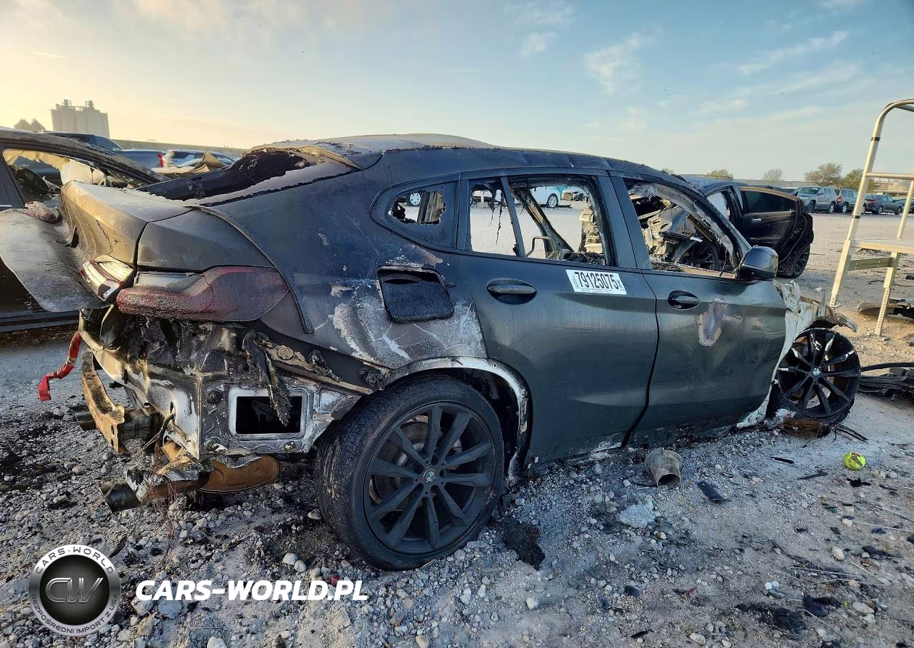 2020 BMW X4 xDrive30I VIN:5UX2V1C00L9C54255 - 3