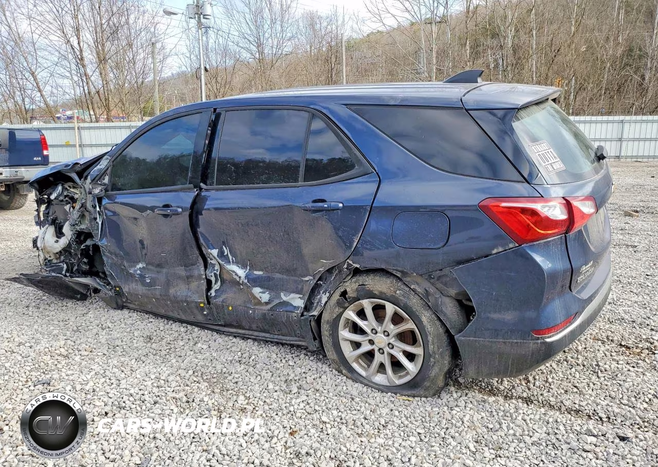 2019 Chevrolet Equinox Ls VIN:3GNAXHEV3KL214125 - 2