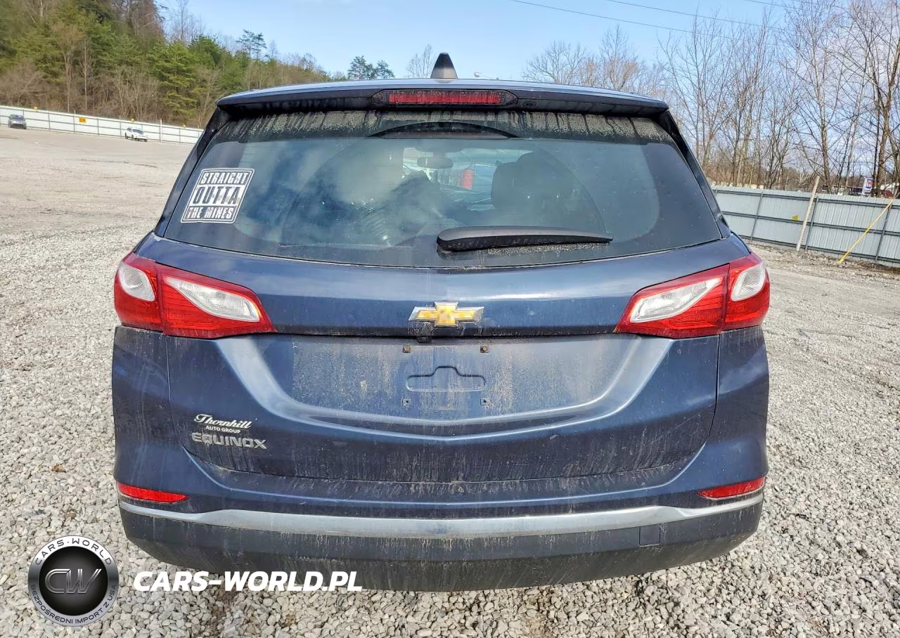 2019 Chevrolet Equinox Ls VIN:3GNAXHEV3KL214125 - 6