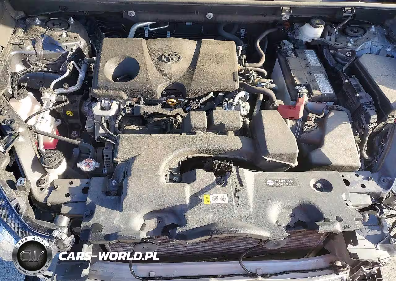 2023 Toyota Rav4 Xle VIN:2T3W1RFV4PC216066 - 12