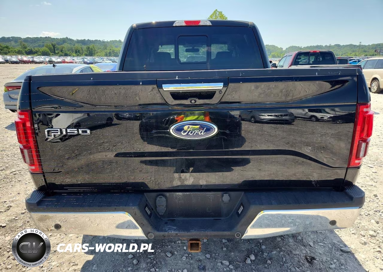 2016 Ford F150 Supercrew VIN:1FTEW1EP9GFB84054 - 6