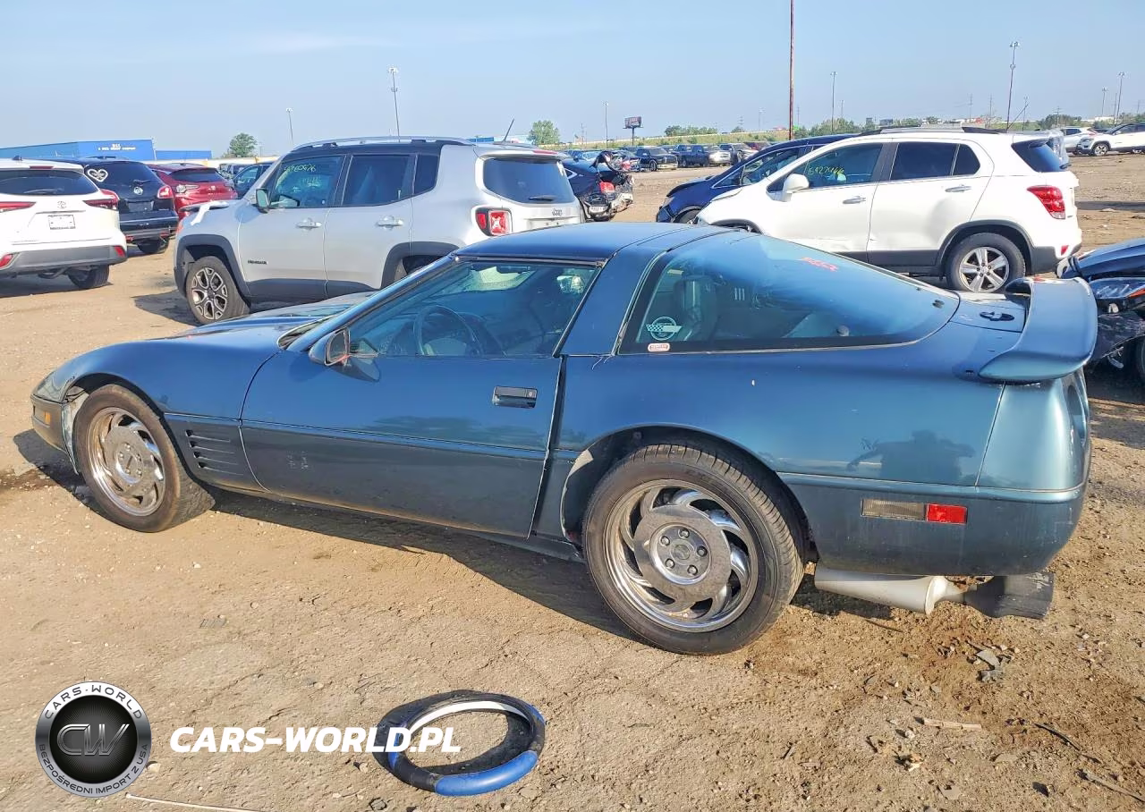 1991 Chevrolet Corvette VIN:1G1YY2385M5113307 - 2