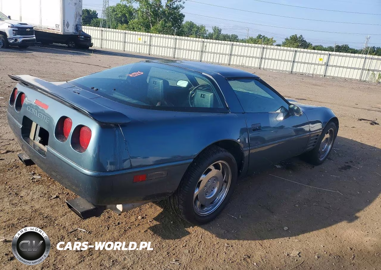 1991 Chevrolet Corvette VIN:1G1YY2385M5113307 - 3