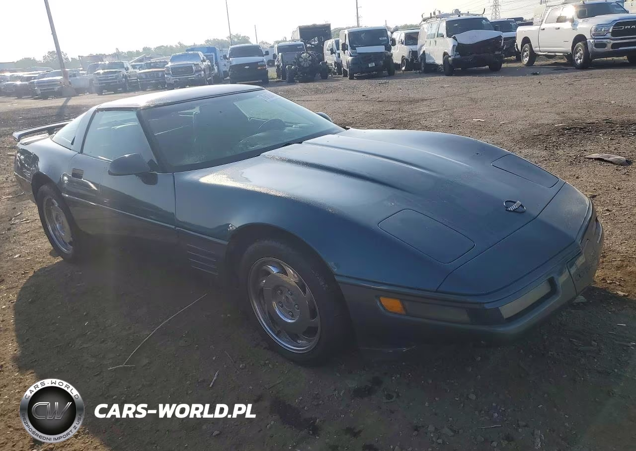 1991 Chevrolet Corvette VIN:1G1YY2385M5113307 - 4