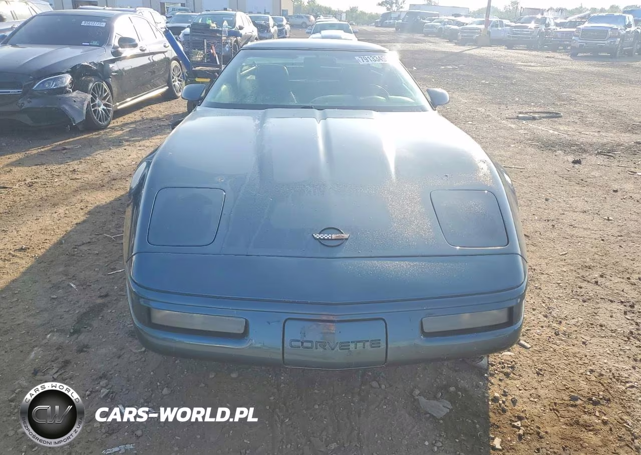 1991 Chevrolet Corvette VIN:1G1YY2385M5113307 - 5